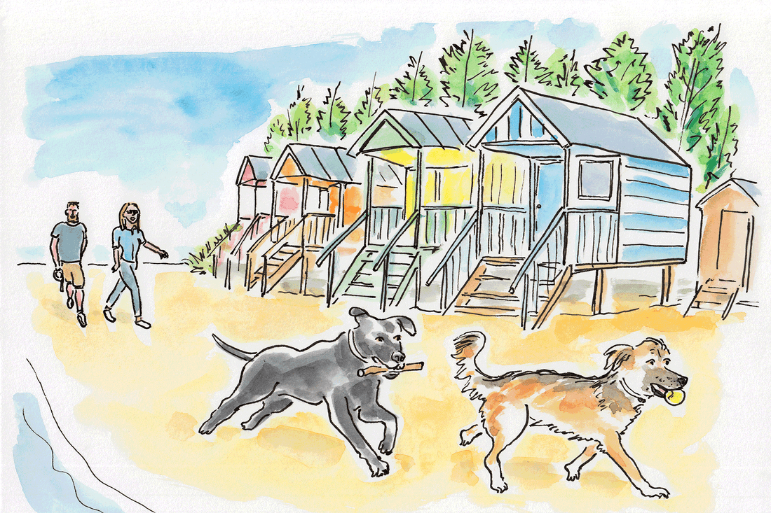 Travelling with Pets: A Handy Guide for Dog Owners