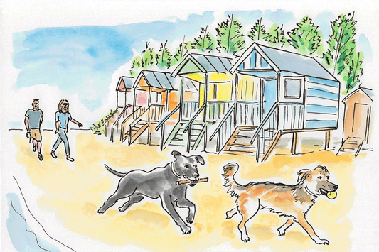 Travelling with Pets: A Handy Guide for Dog Owners